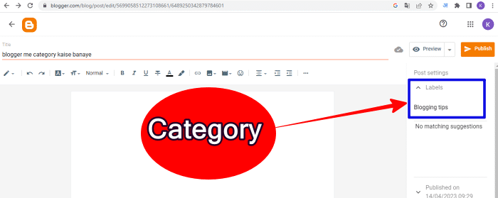Blogger.com में Category कैसे बनाएं? जानें स्टेप-बाय-स्टेप तरीका 8 prewiew category in blogger